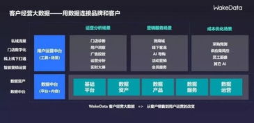 2019全球数字价值峰会 WakeData李柯辰——以数据为桥，连接品牌与客户